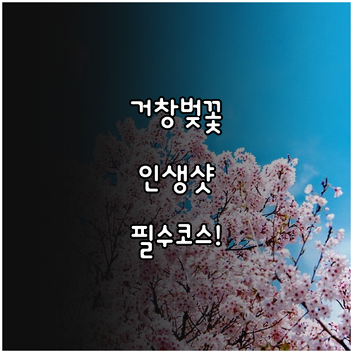 거창 벚꽃 길 산책 코스 및 명소별 ..