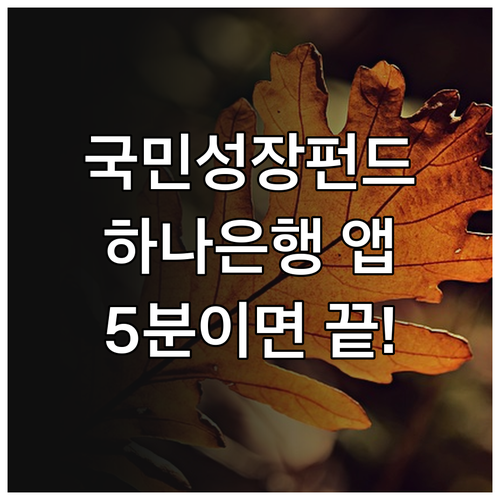 국민성장펀드 주요 특징과 하나은행 앱..