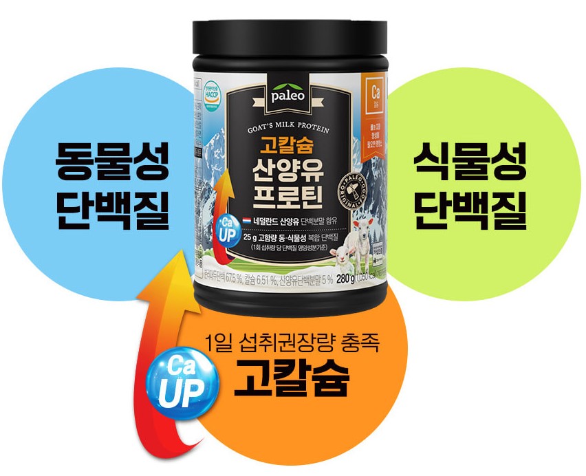 산양유 단백질 추천 5-팔레오
