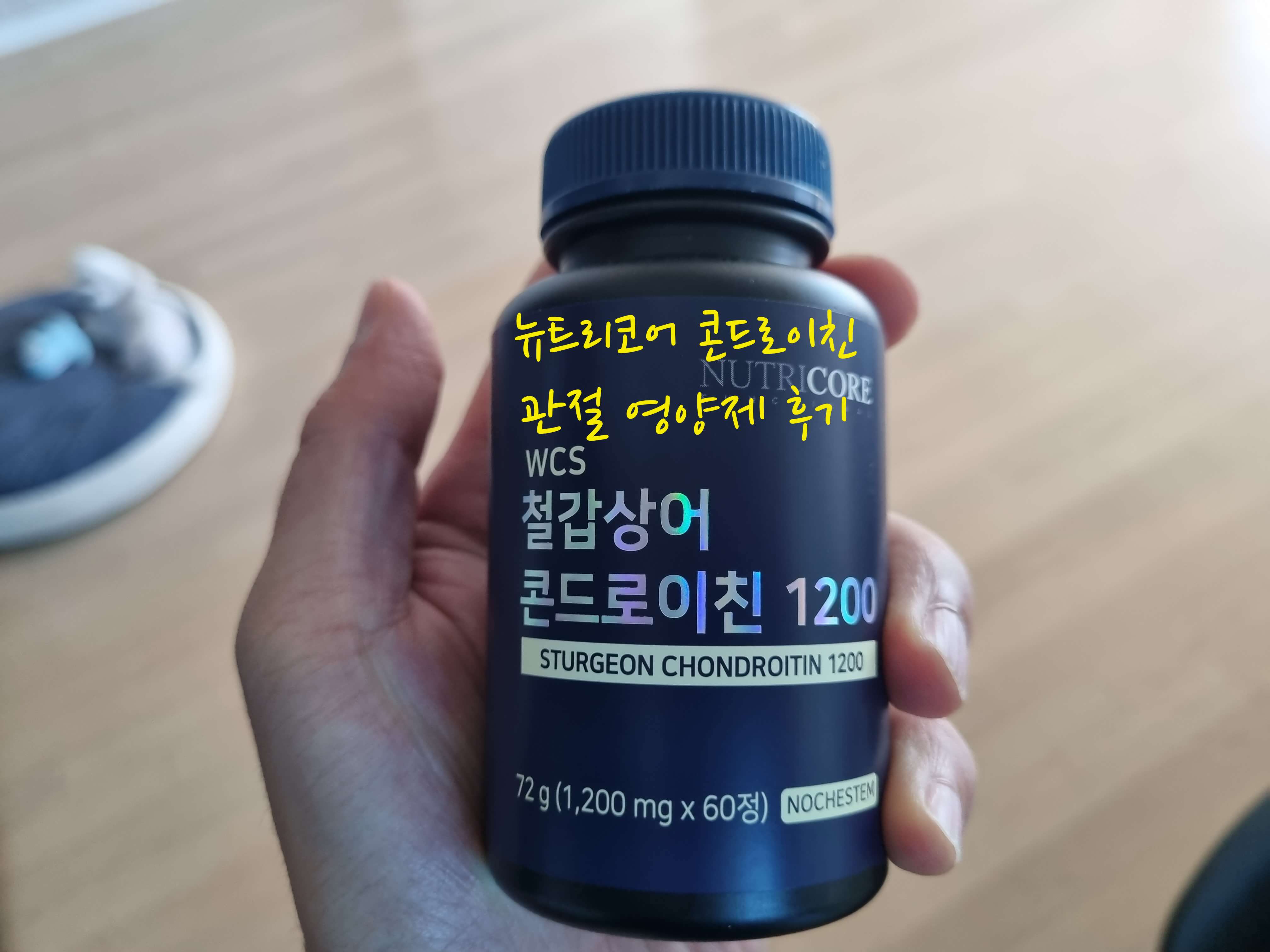 뉴트리코어 콘드로이친