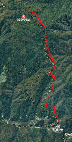 자작 나무숲 지도