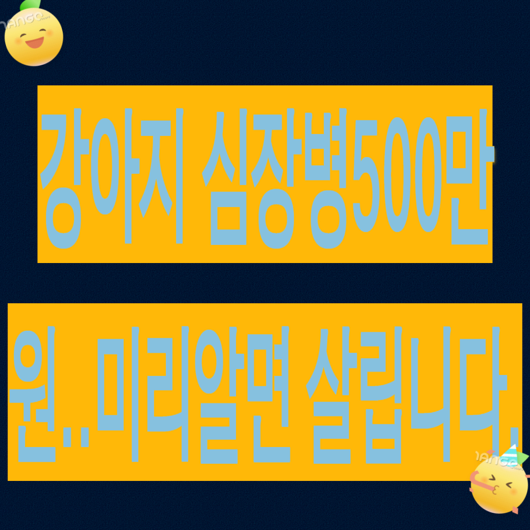 강아지 심장병 수술비 500만원 ... 미리 알면 살립니다.