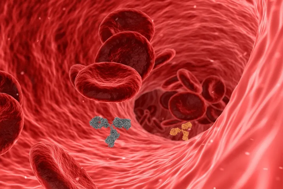 폴리코사놀의 효능