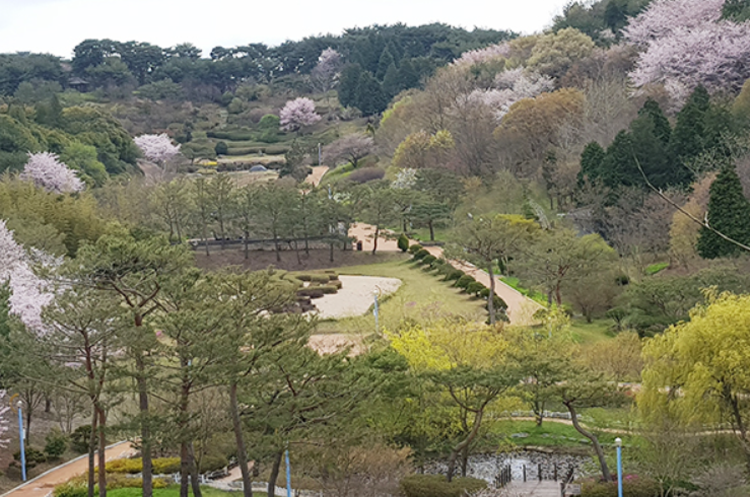 태안 안면도 수목원