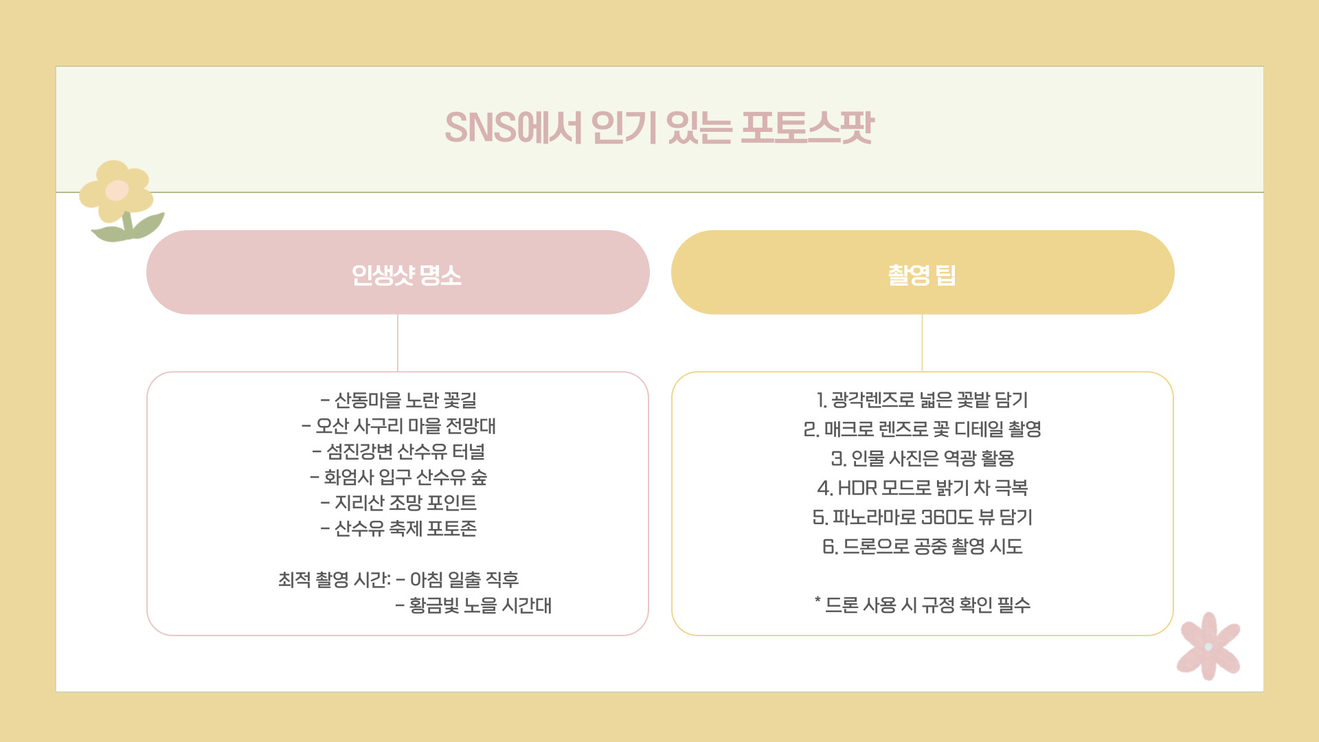 2025 구례 산수유꽃축제 일정 및 개화 시기