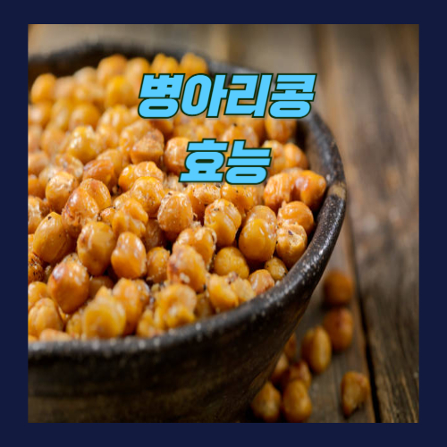 병아리콩-효능