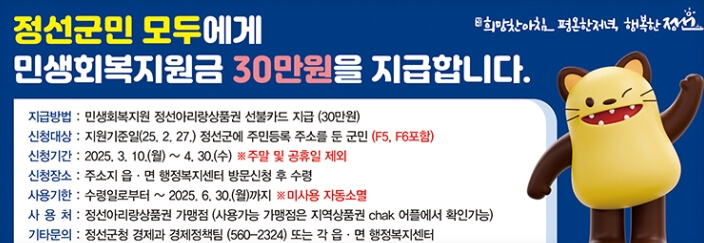 정선군 민생회복지원금 관련 사진