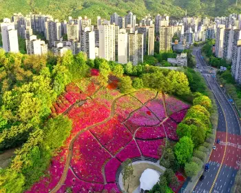 군포 철쭉축제_4