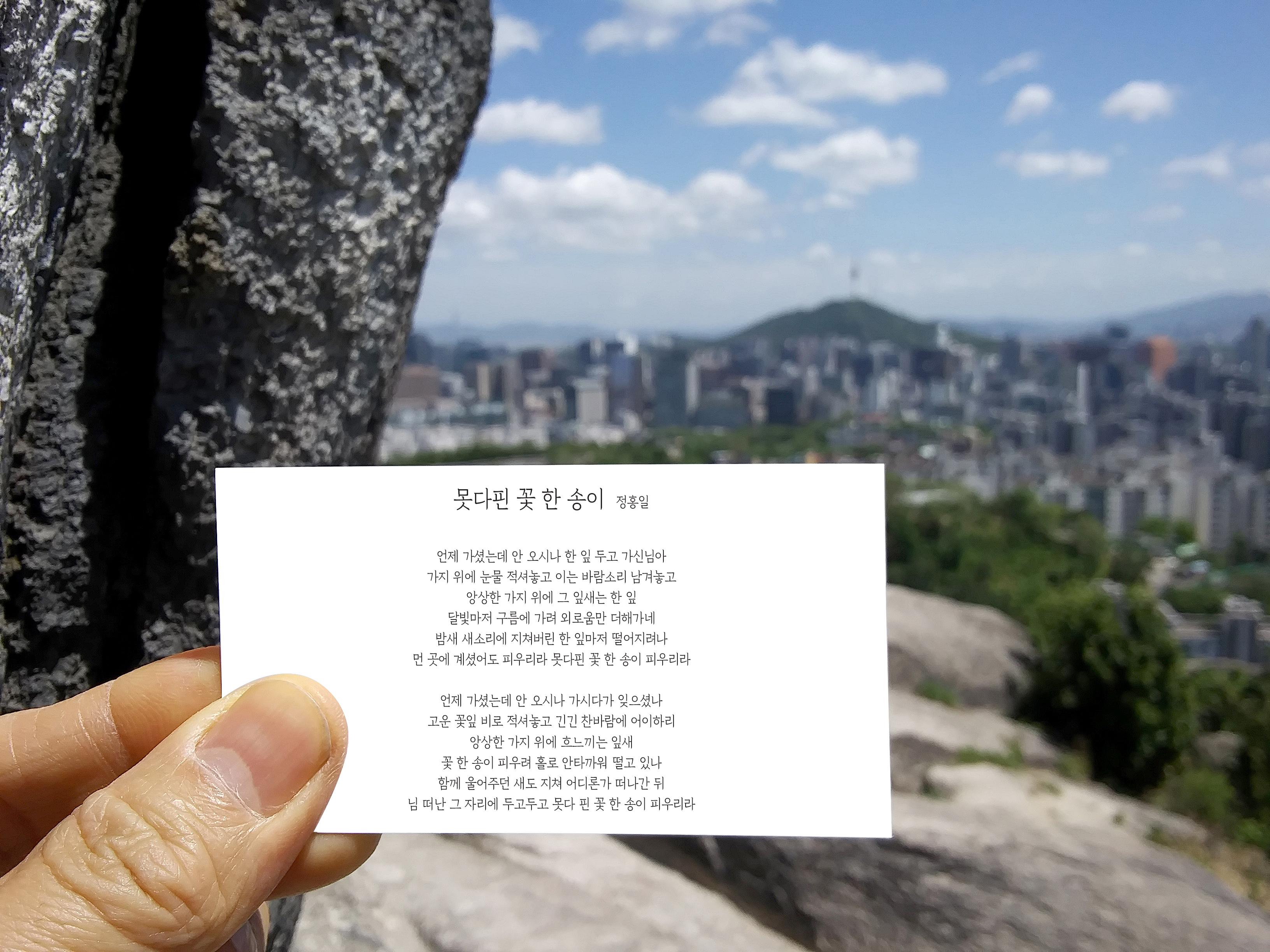 정홍일의 못다핀 꽃 한송이