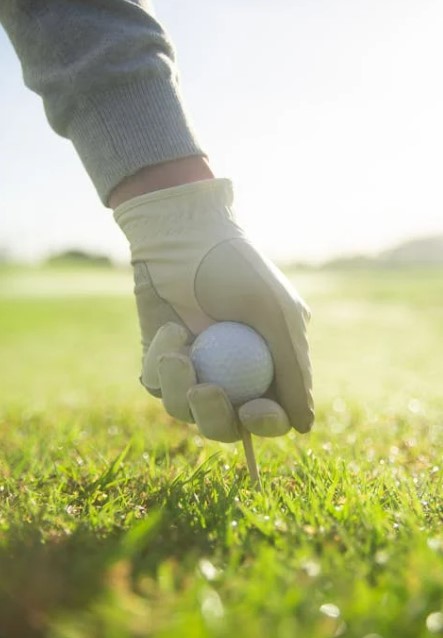 골프회원권 매입 후기&amp;#44; 직접 경험한 리얼 후기와 솔직한 평가