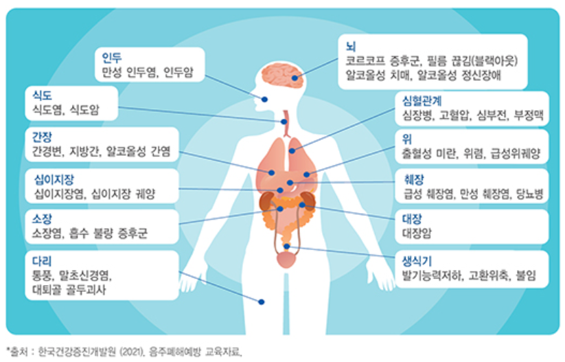 알코올 술이 신체에 미치는 영향