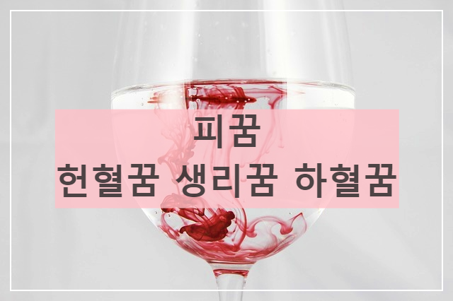 피_혈액