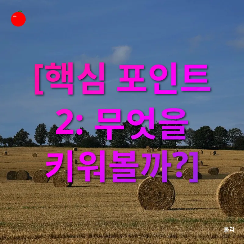 도시농업_2