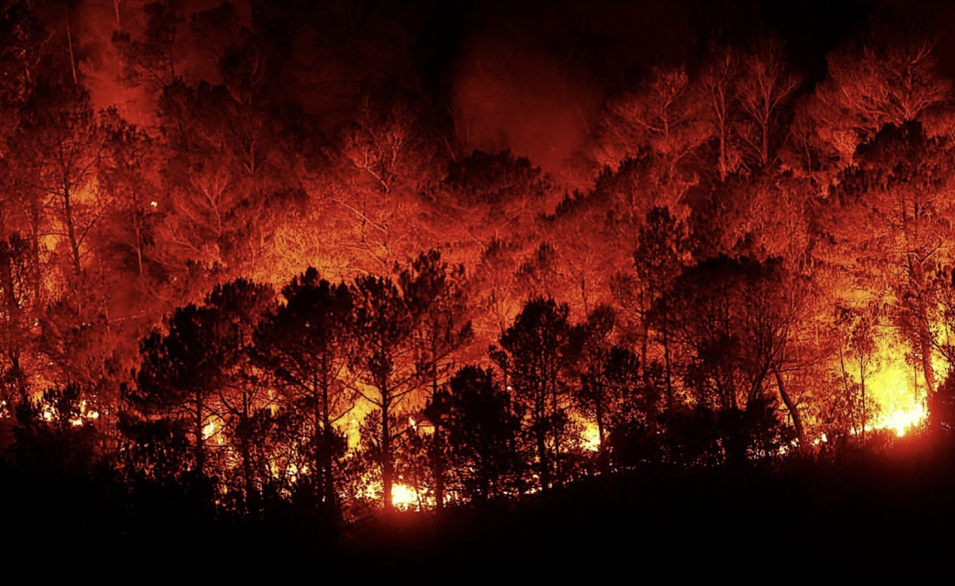 캘리포니아 산불