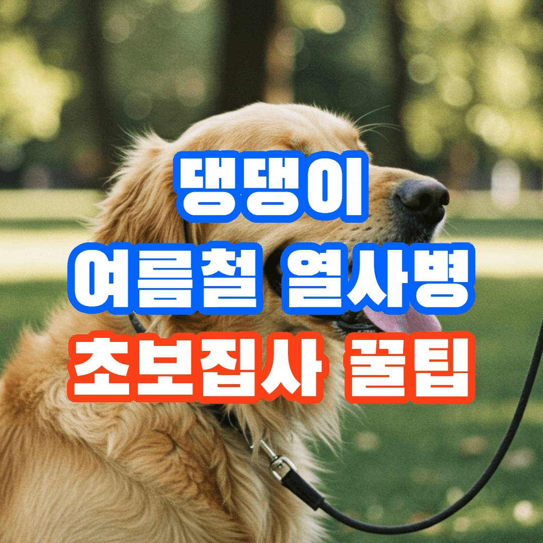 반려견 여름철 열사병 예방, 초보 주인이 알아야 할 꿀팁 5가지! 🐶