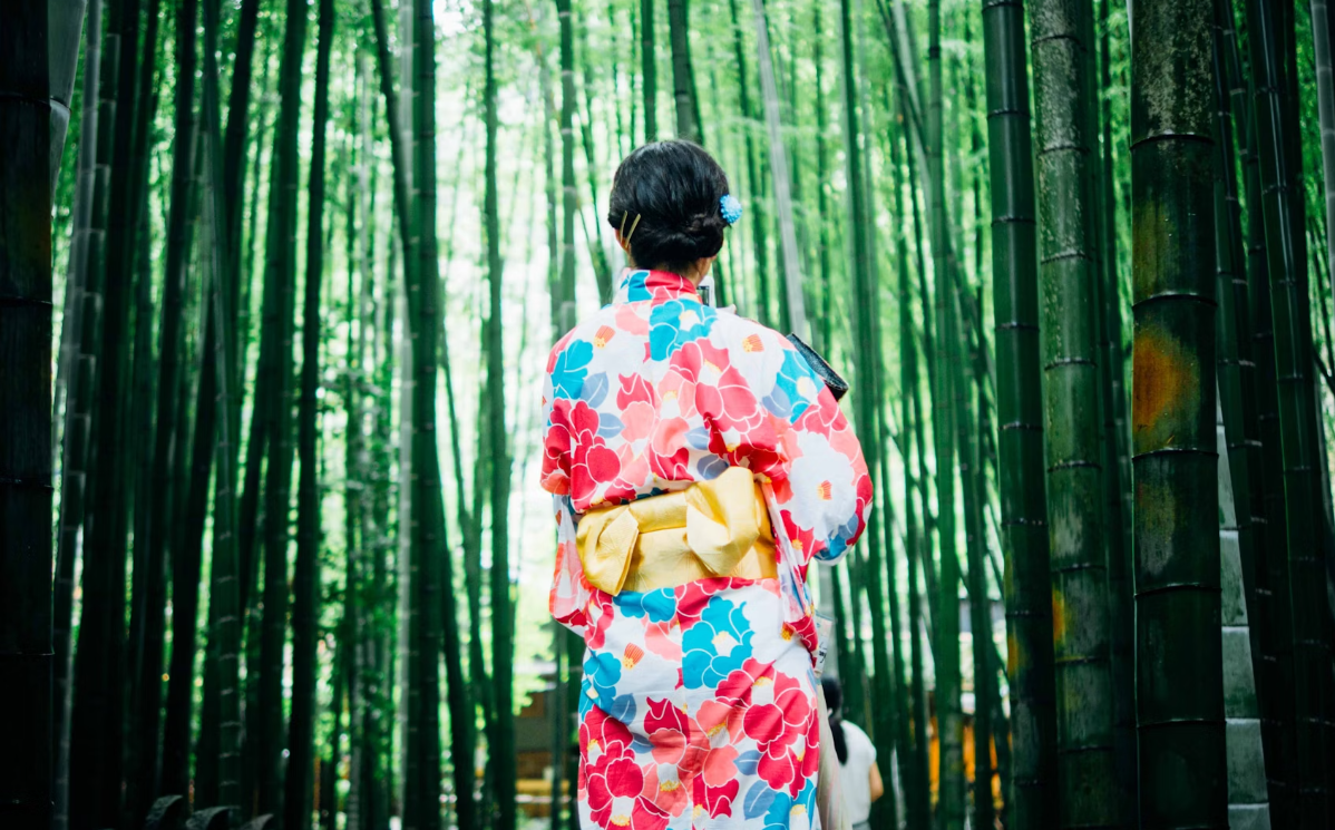 일본 전통 의상을 입은 여성 뒷모습
