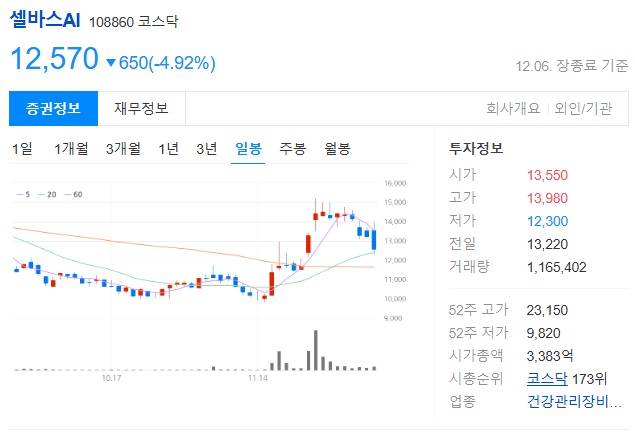 셀바스AI 주가 정보