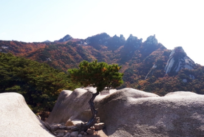 북한산 단풍