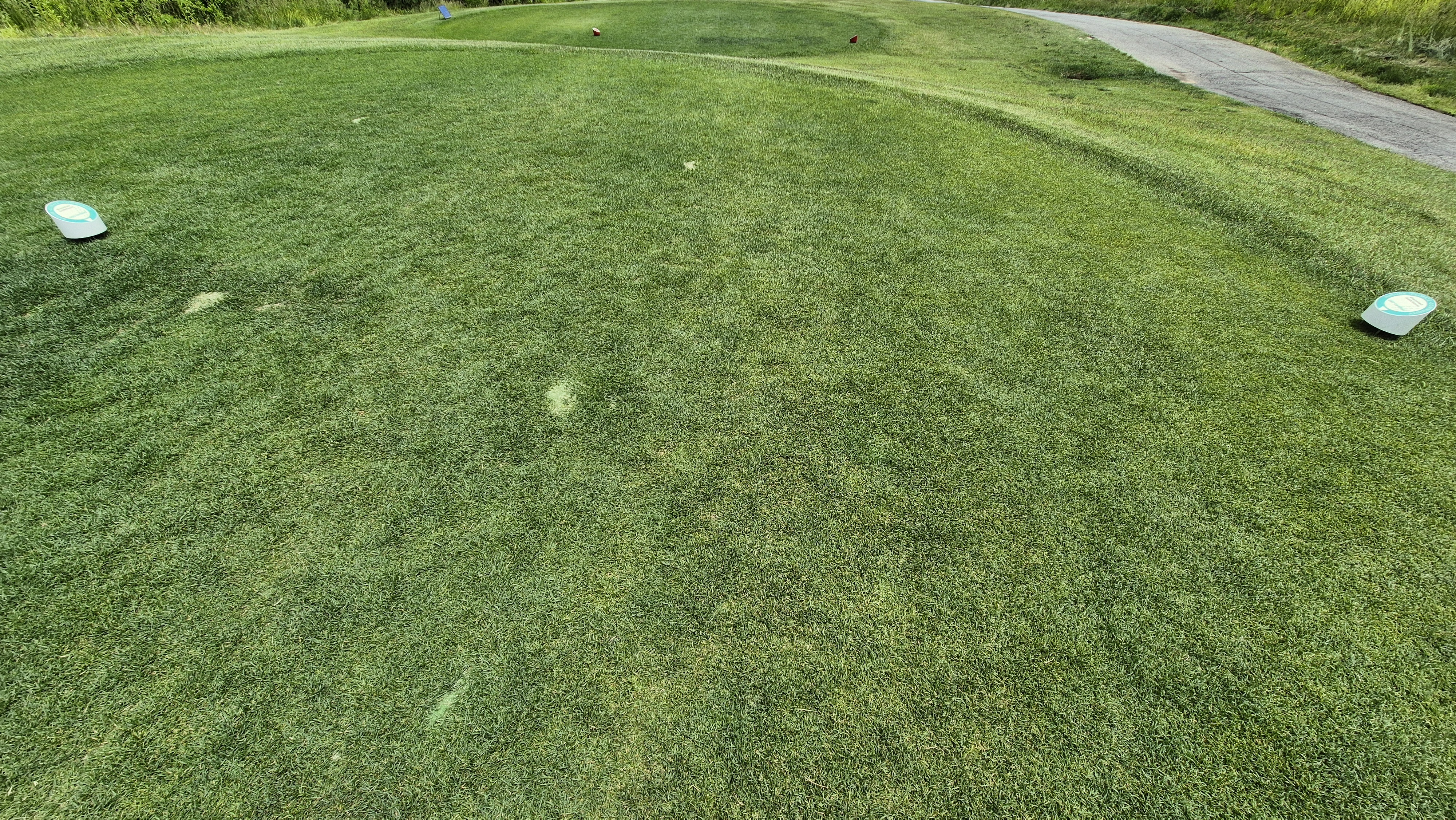 샴발라cc 라운드 후기