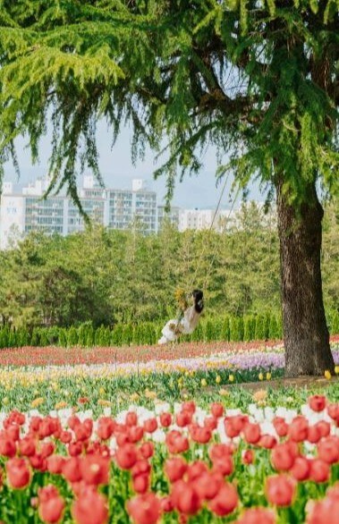 2025 대구 이월드 '튤립 트래블' 축제! : 네덜란드 감성 그대로 즐기는 봄 꽃 축제!