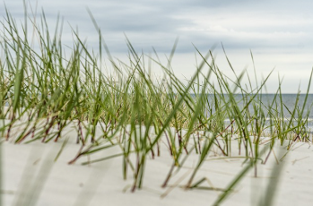 검버섯 없애는 방법 완벽 정리 10