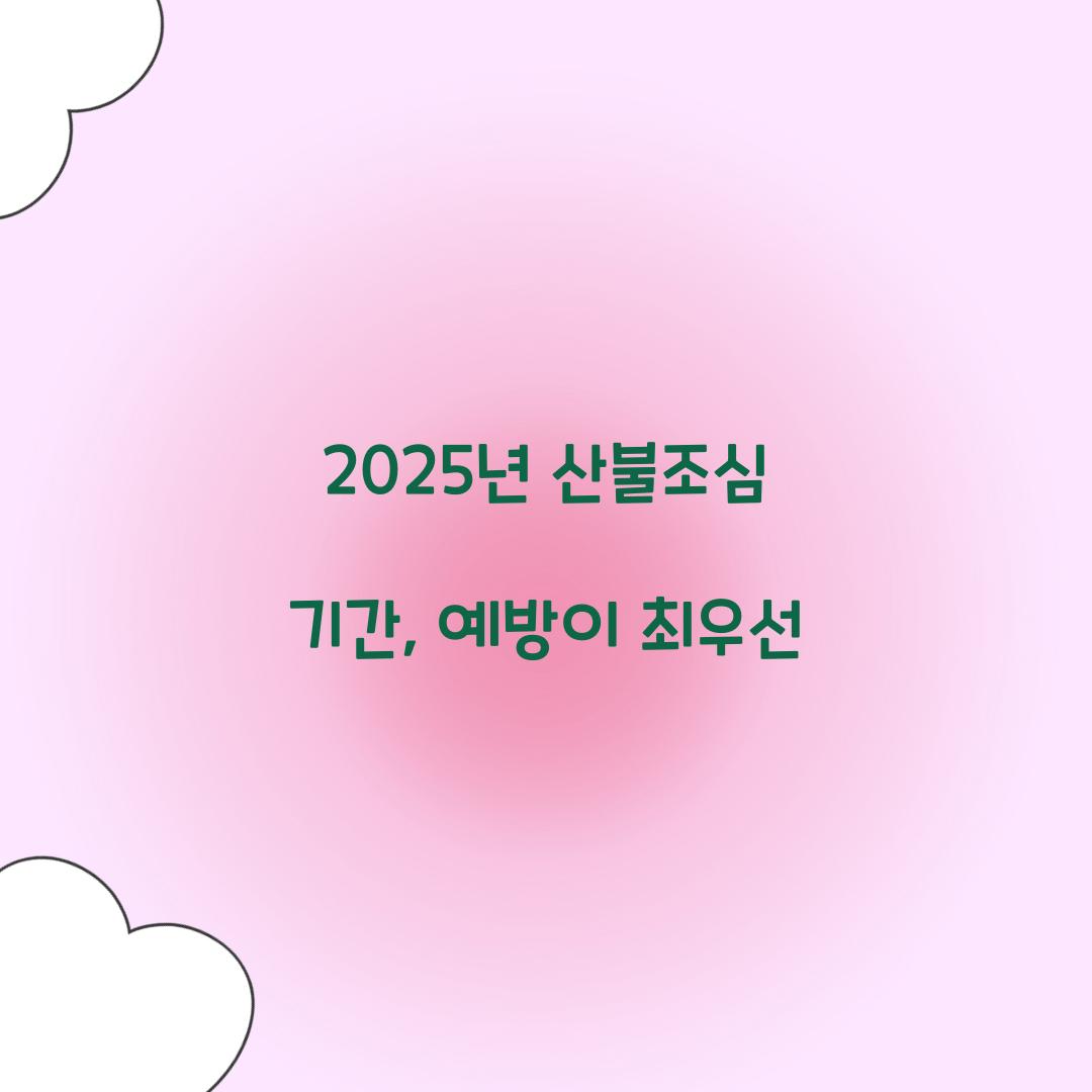 2025년 산불조심 기간