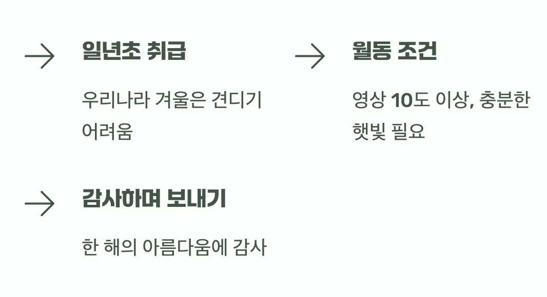 아쉬운 이별, 겨울나기