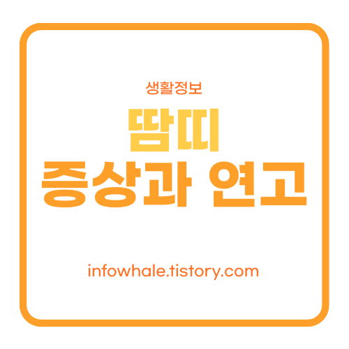 땀띠 증상 가라앉히는 없애는 방법 연고