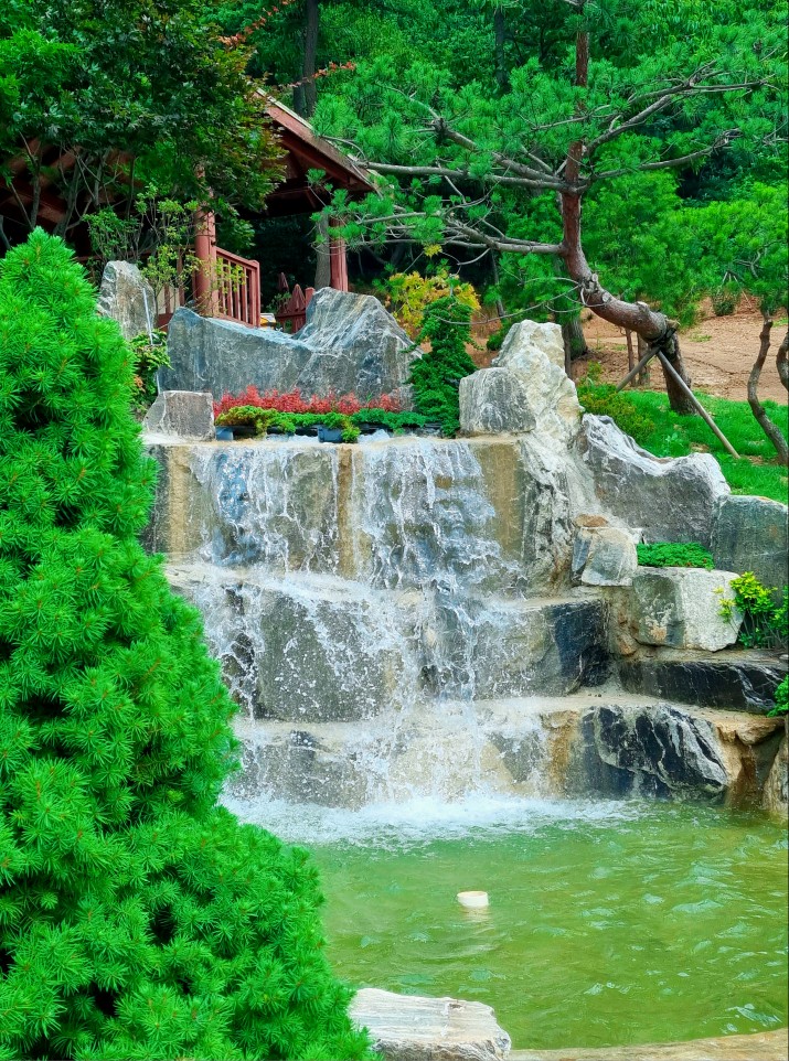 경기도 시흥 산골수목원: 연분홍 수국이 있는 식물원 카페