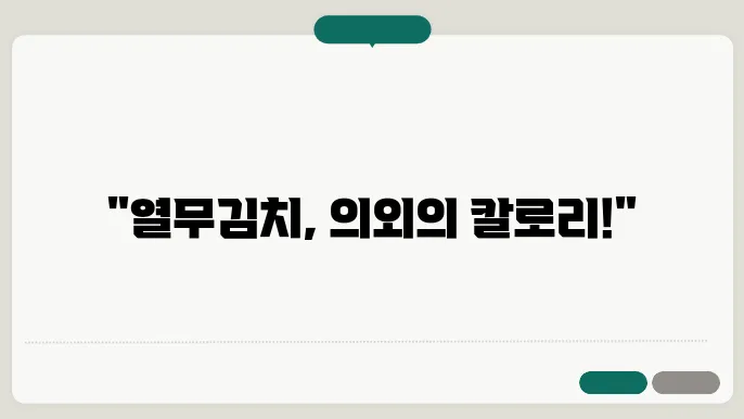 열무김치 칼로리