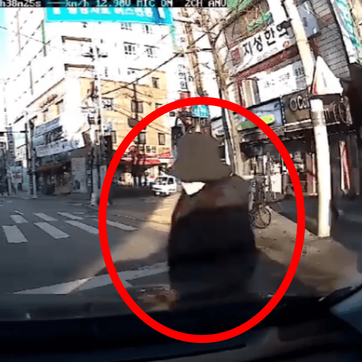 무단횡단-교통사고-당시-상황-cctv-서울시-금천구