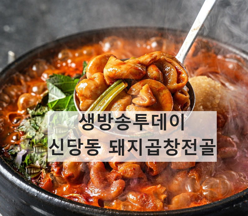 생방송투데이 이유 있는 맛플리 신당동 핫플 돼지곱창전골 맛집