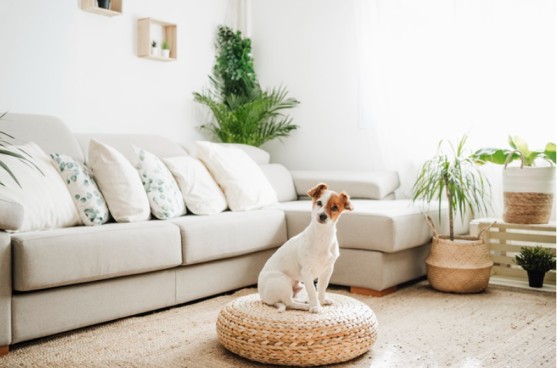출처 - 한국지식교육협회