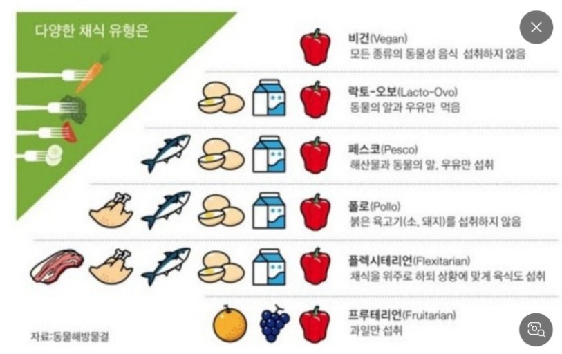 비건 분류, 비건에도 종류가 있습니다. 나에게 맞게 도전해보세요.