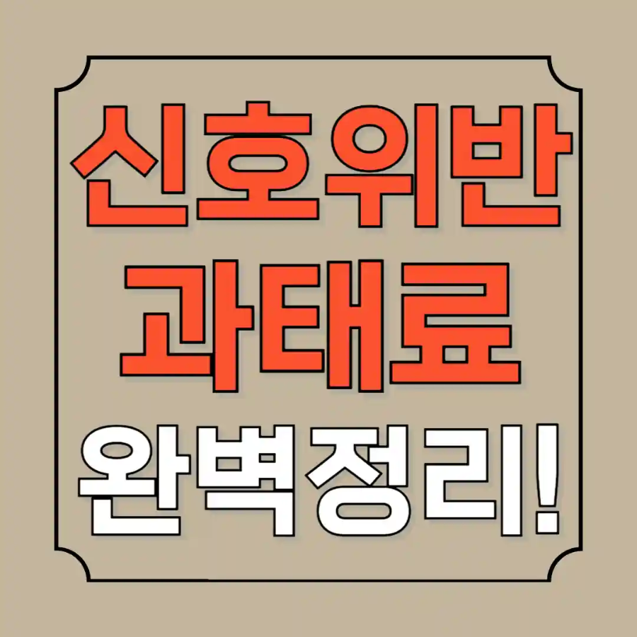 신호위반 과태료