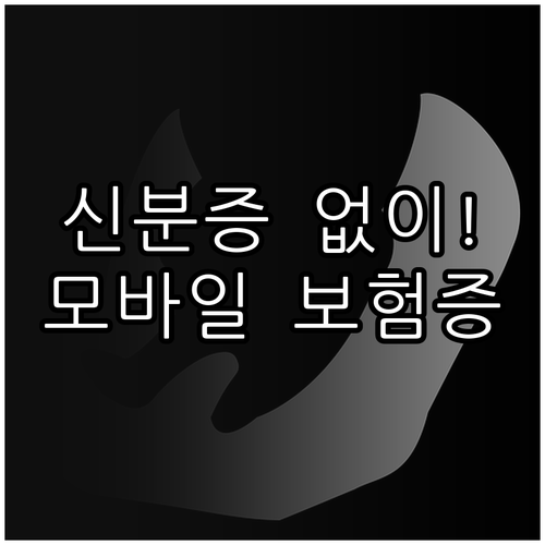 실물 신분증 없는 병원 진료를 위한 ..