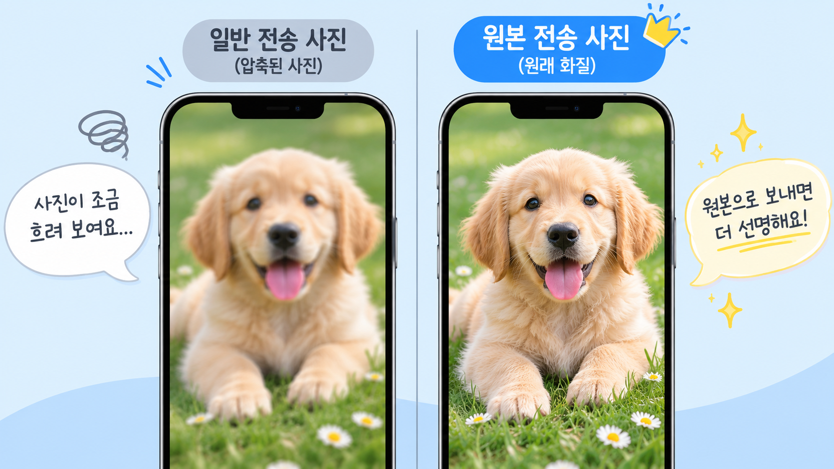카카오톡 사진 원본 전송과 일반 전송의 차이