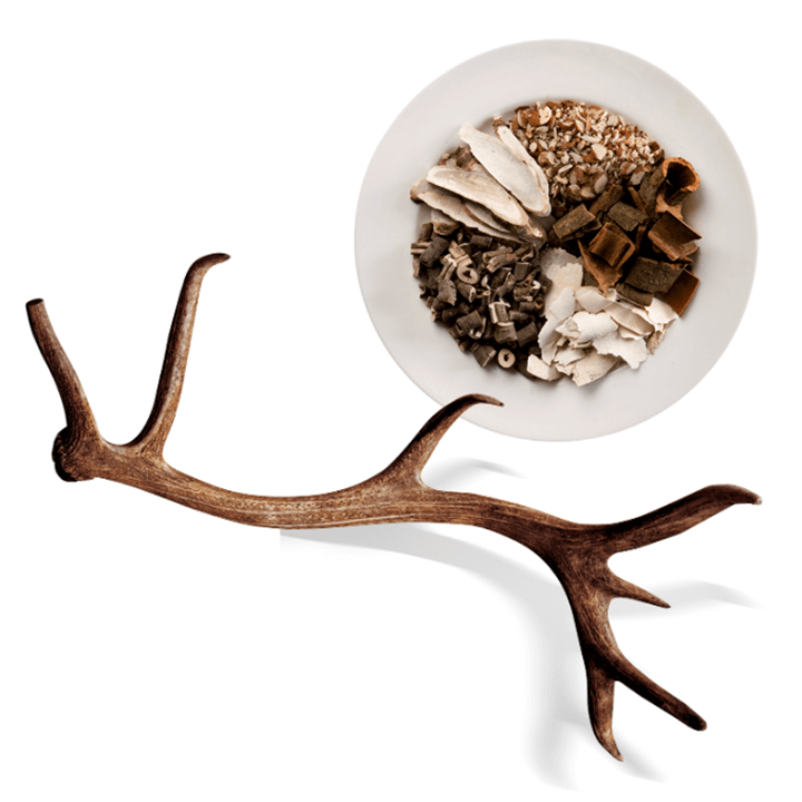 녹용-한-뿌리와-여러-한약재