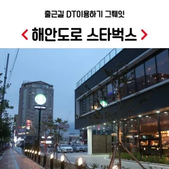 마산 해안도로 5월의 꽃 다정큼나무 산딸나무 해당화_21