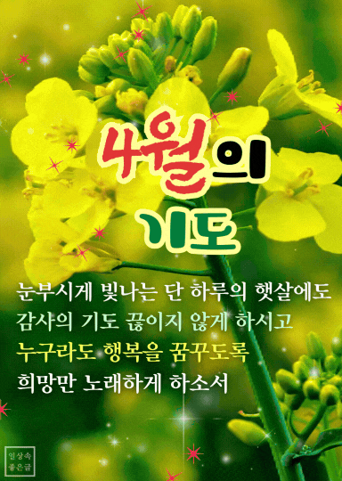 사월의 기도 인사말 이미지 - 밝은 햇살과 희망을 노래하는 기도