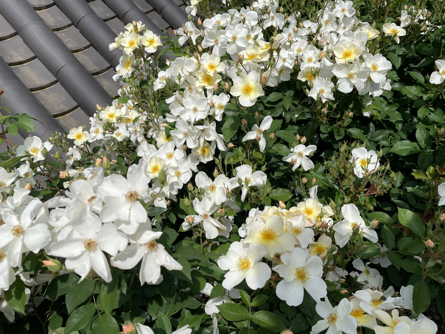 전주 여행 추천 - 전주수목원 소개