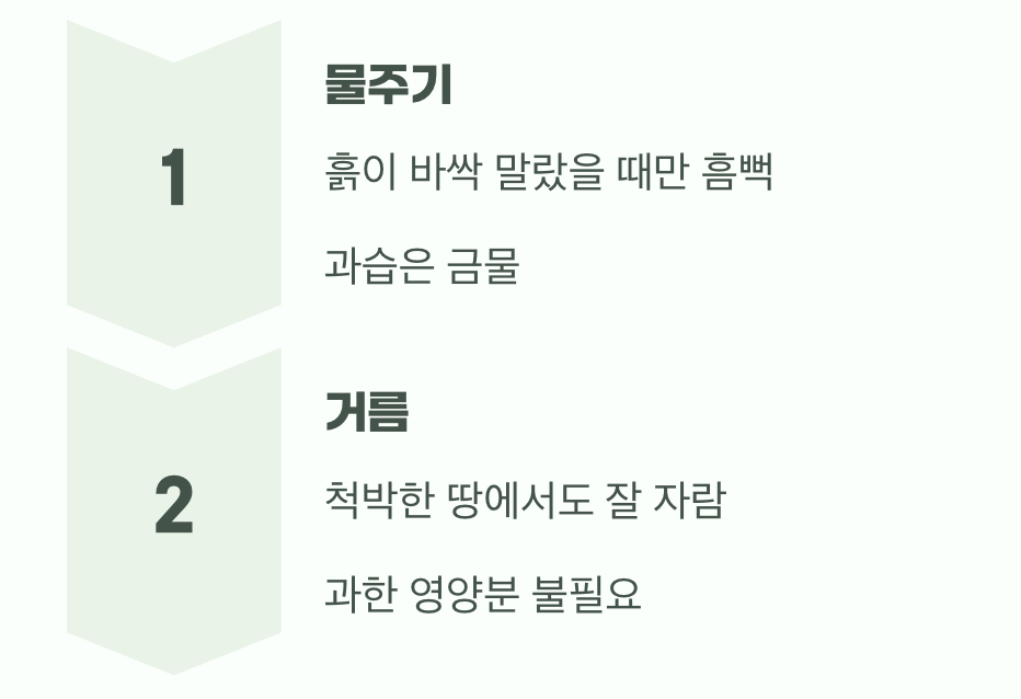 비결 2. 과한 사랑은 금물, '물'과 '거름'