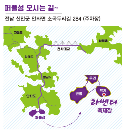 2025 퍼플섬 라벤더 축제