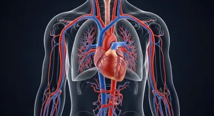 콜레스테롤의 역할과 수치가 주는 영향