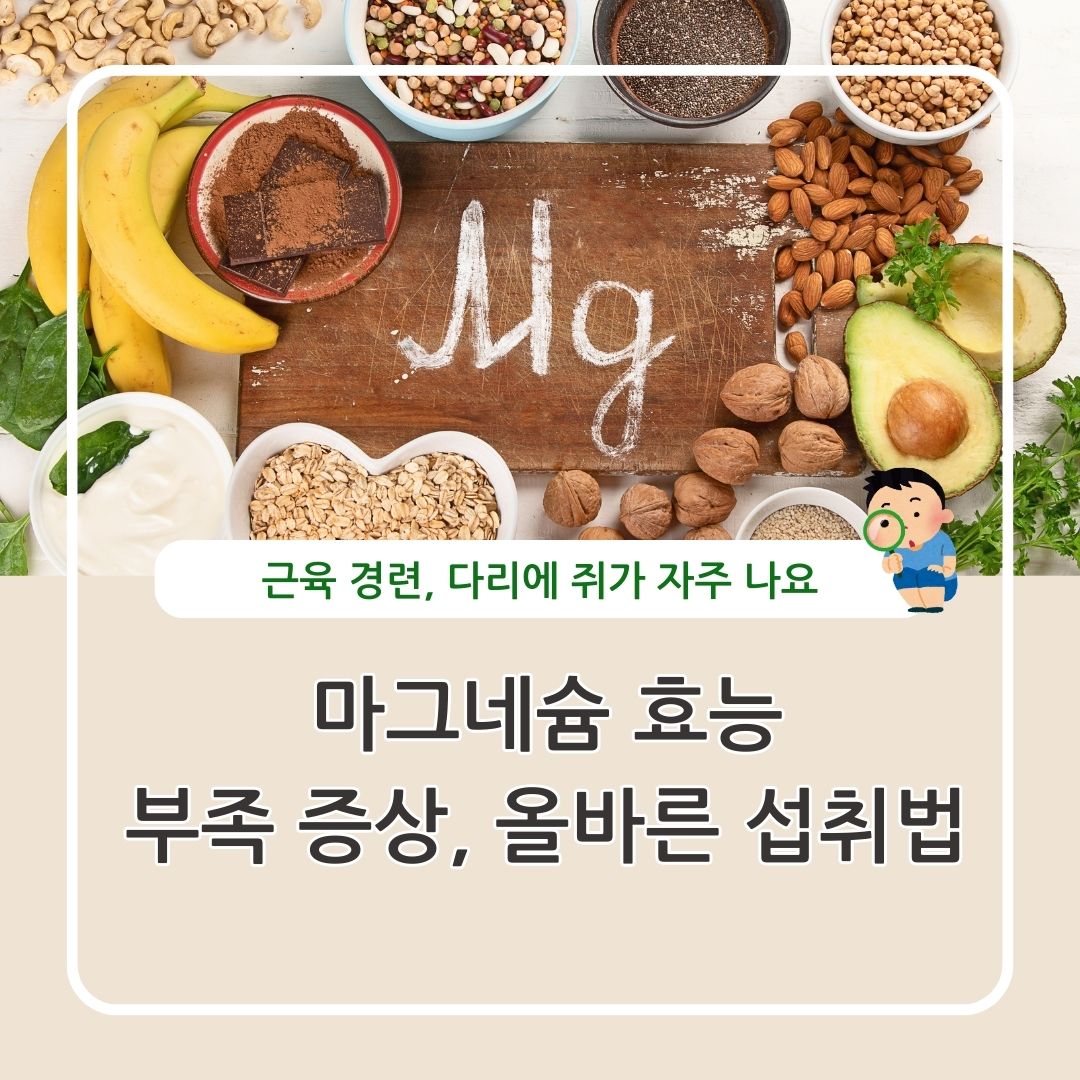 마그네슘 효능 결핍시 증상 섭취 방법 하루 권장량 정리