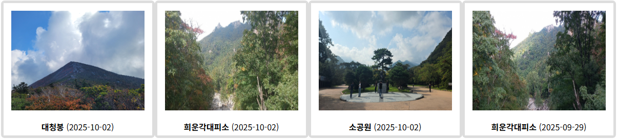 설악산 단풍 시작! 절정시기 지금 확인하세요 (출처 : 기상청)