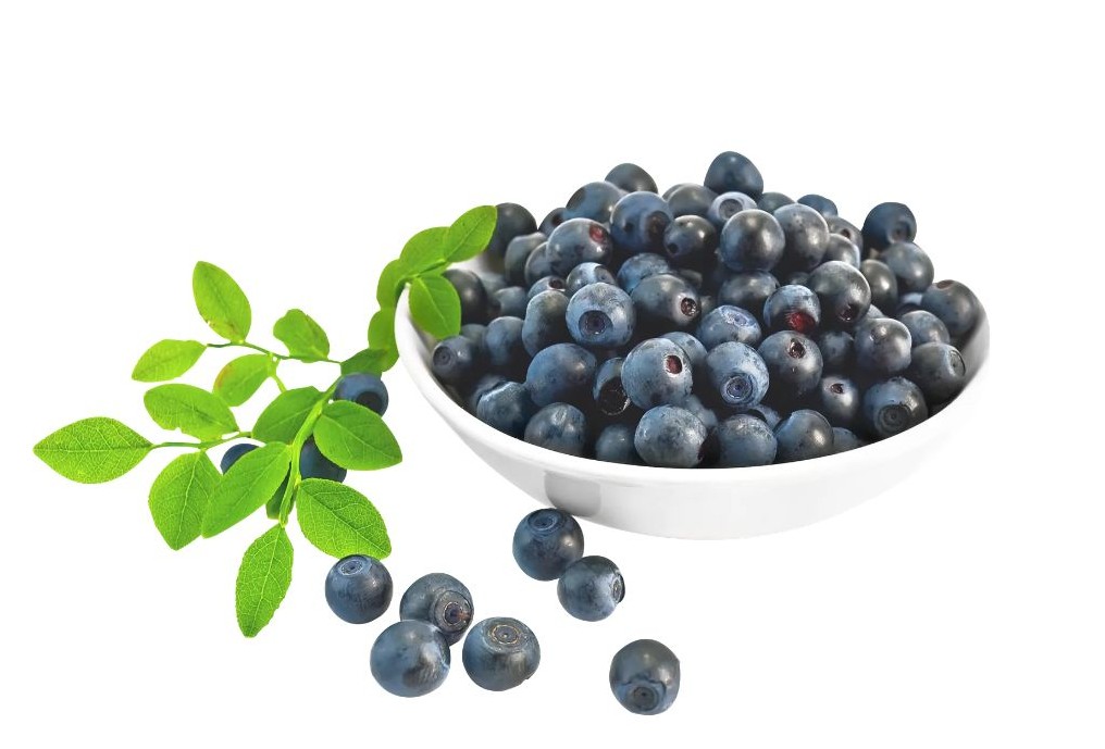 블루베리 효능 부작용