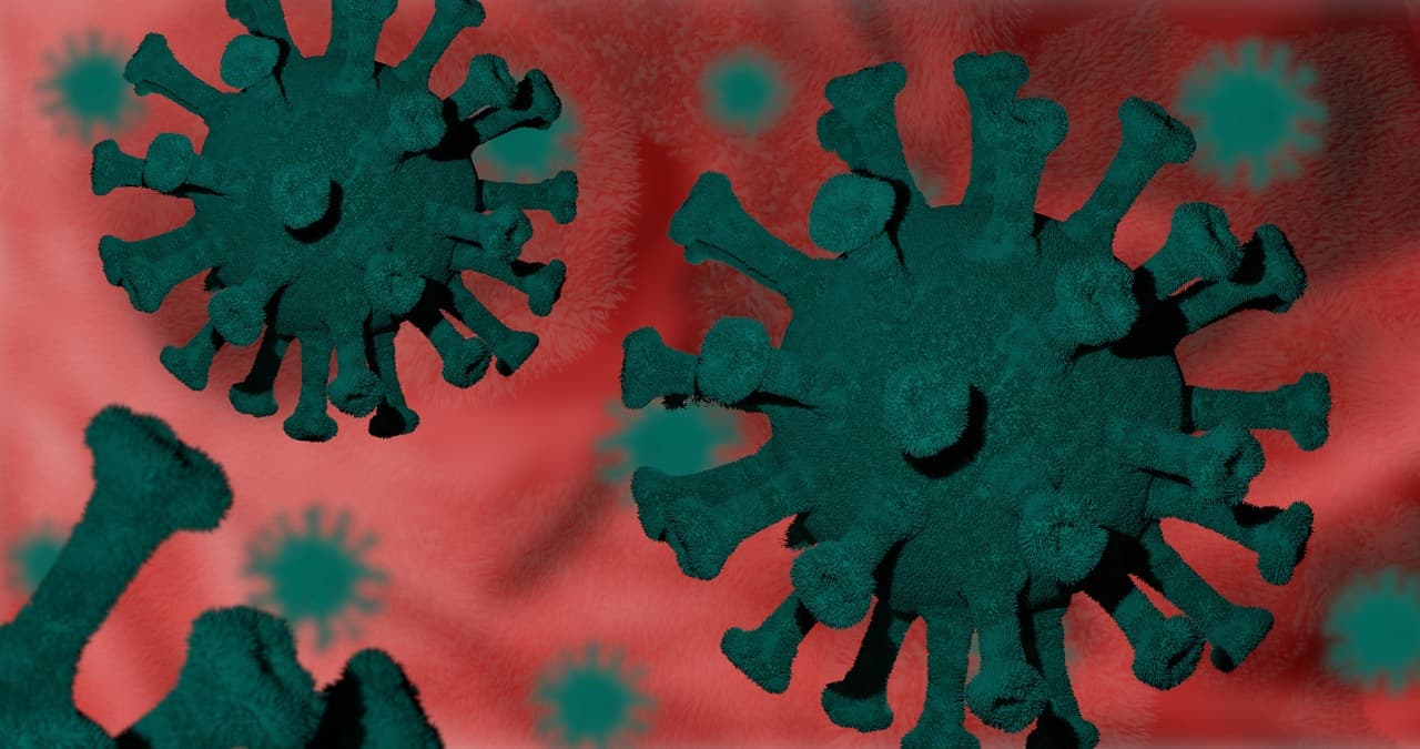 기후 변화와 병원체의 등장