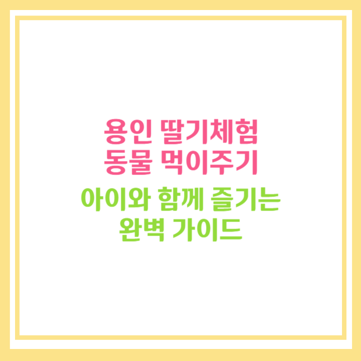 용인 딸기체험 동물 먹이주기