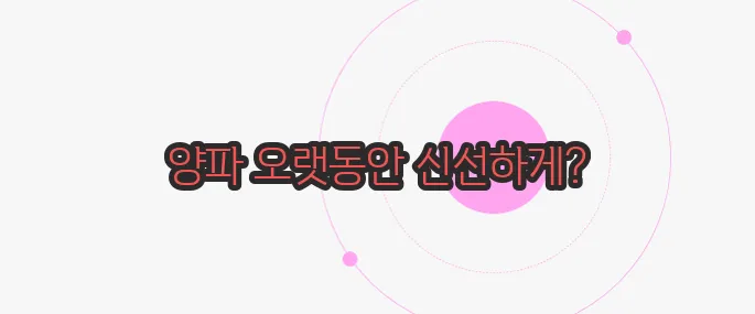 양파 보관법 가볍게 살펴볼까요